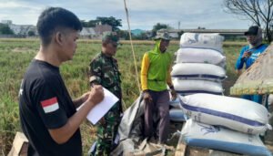 Bulog Tangerang Serap 24.700 Ton Gabah, Hampir Capai Target Akhir