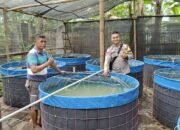 Monitoring Pekarangan Lestari Dalam Rangka Mendukung Program Ketahanan Pangan Polsek Panongan