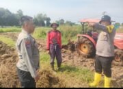 Polsek Cisoka Monitoring Persiapan Lahan Ketahanan Pangan, Siap Tanam Jagung Hibrida