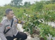 Bhabinkamtibmas Polsek Panongan Ajak Warga Dukung Ketahanan Pangan Nasional