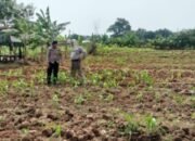 Dalam mendukung Program Ketahanan Pangan Bripka Landung Setyawan berikan motivasi kepada warga di Desa Pasar Kemis