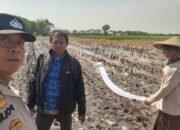 Polsek Kronjo Kawal Pematangan Lahan untuk Program Ketahanan Pangan di Desa Jenggot