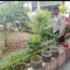 Bripka Fauzi R lakukan Pendataan Pekarangan Bergizi di Desa Kandawati