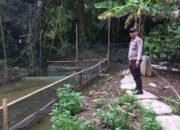 Mendukung Program Ketahanan Pangan Bripka Dwi berikan motivasi kepada warga