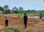 Personil Polsek Mauk Polresta Tangerang Laksanakan Perawatan Pekarangan Pangan Bergizi