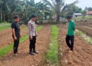 Terus Dukung Ketahanan Pangan,Polsek Mauk Polresta Tangerang Polda Banten