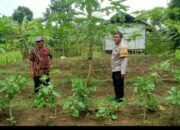 Aiptu Sukarna lakukan Pendataan Pekarangan Bergizi di Desa Cibetok