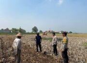 Polsek Kronjo Kawal Pematangan Lahan untuk Program Ketahanan Pangan di Desa Jenggot