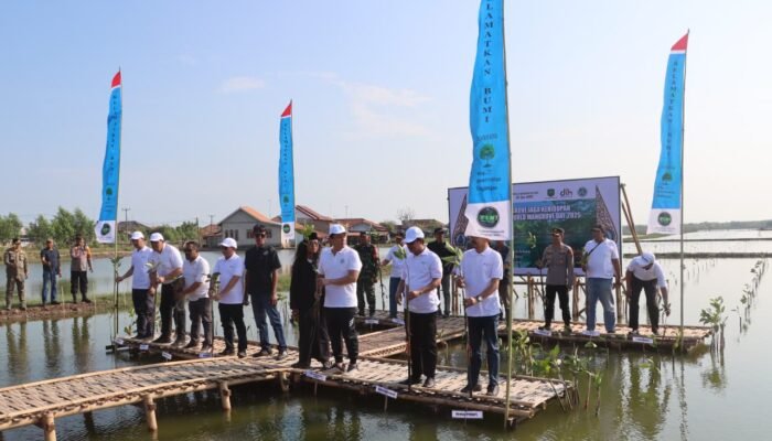 Kegiatan Penanaman Mangrove di Subang Bersama Menteri Lingkungan Hidup dalam Rangka Hari Mangrove Sedunia 2025