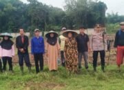Personil Polsek Cisoka Melaksanakan Penanaman Jagung Jenis Hybrida Di Desa Bojong Loa Kecamatan Cisoka