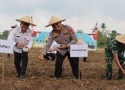 Penanaman Jagung Serentak Bersama Kapolri, Kapolresta Tangerang Siap Dukung Ketahanan Pangan di Setiap Tahapan