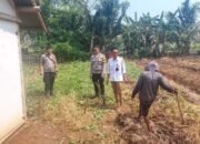 Personil Polsek Mauk Polresta Tangerang Laksanakan Perawatan Pekarangan Pangan Bergizi