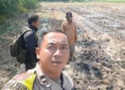 Polsek Kronjo Kawal Pematangan Lahan untuk Program Ketahanan Pangan di Desa Jenggot