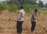 Kapolsek Kresek bersama Kelompok Tani melaksanakan pembersihan Lahan Jagung