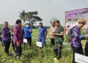 TNI dan Pemkab Tangerang Panen Semangka dan Salurkan Alsintan di Mauk