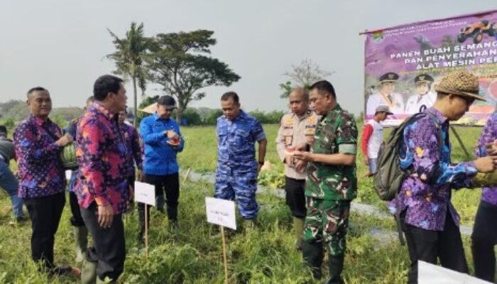 TNI dan Pemkab Tangerang Panen Semangka dan Salurkan Alsintan di Mauk