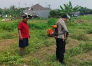 Bhabinkamtibmas bersama Kelompok Tani melaksanakan pembersihan Lahan Jagung