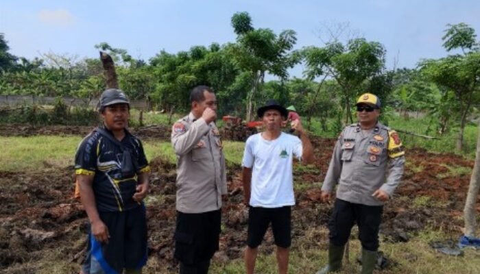 Program Ketahanan Pangan Desa Sukadamai: Wujud Kemandirian Pangan Melalui Penanaman Jagung Hibrida