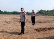 Kapolsek Tigaraksa Tinjau Lahan Penanaman Jagung Hibrida di Desa Pematang: Dukung Swasembada Pangan Kuartal III