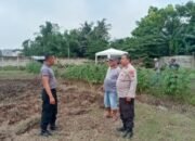 Kanit Binmas Polsek Pasar Kemis Bersama Kelompok Tani melaksanakan pembersihan Lahan Jagung