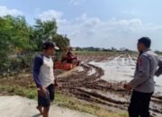 Polsek Kronjo Siap Dukung Program Ketahanan Pangan Nasional dengan Penanaman Jagung Serentak