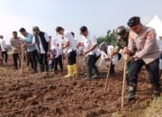 Kapolsek Cisoka Bersama Forkopimcam Dan Para Kepala Desa Tanam Jagung Serentak Kuartal III, Guna Dukung Ketahanan Pangan Nasional
