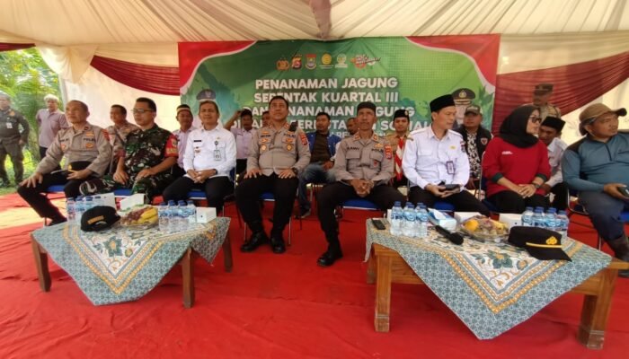 Kapolsek Tigaraksa Bersama Forkopimcam Ikuti Zoom Meeting di Lokasi Penanaman Jagung Hibrida Kuartal III di Desa Pematang