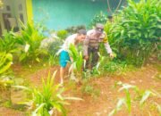 Bripka Ada Prantona Bhabinkamtibmas Polsek Balaraja Giat Pemanfaatan Lahan Sektor Ketahanan Pangan Cabe