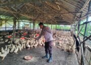 Aipda Dimas lakukan Pendataan Pekarangan Bergizi di Desa Rancagede