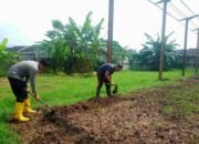 Terus Dukung Ketahanan Pangan,Polsek Mauk Polresta Tangerang Polda Banten Gotong Royong Bersihkan Rumput Liar