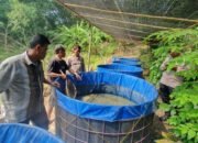 Polsek Kresek lakukan Pendataan Pekarangan Bergizi di Desa Kemuning