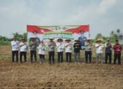 Tanam Jagung Serentak, Polresta Tangerang Komitmen Dukung Swasembada Pangan