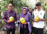 Wabup Intan Apresiasi Green House Anugerah Farm Sebagai Solusi Pertanian Modern dan Ramah Lingkungan