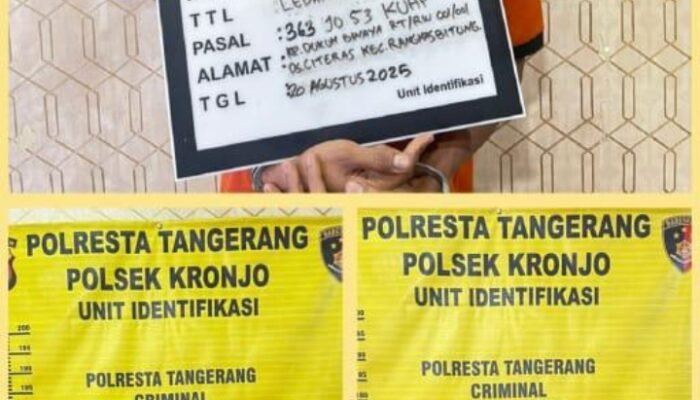 Polsek Kronjo Tangkap Pelaku Curanmor di Gudang Padi Tangerang
