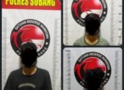Satresnarkoba Polres Subang Gulung Dua Pengedar Tembakau Sintetis & Sabu Sekaligus