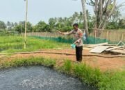 Bhabinkamtibmas Polsek Kronjo Galakkan Ketahanan Pangan Lewat Budidaya Lele