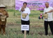 Panen Raya Bawang Merah, Bukti Pertanian Topang Kesejahteraan Rakyat