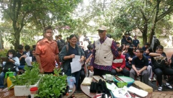150 Siswa SMP Strada Marga Mulia Pasar Minggu Jakarta Praktek Tanam Sayuran lewat Hidroponik di Kebun Agradipa Hidroponik Tigaraksa