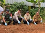 Polsek Tigaraksa Laksanakan Program Ketahanan Pangan Penanaman Jagung Hibrida 1 Desa 2 Hektar