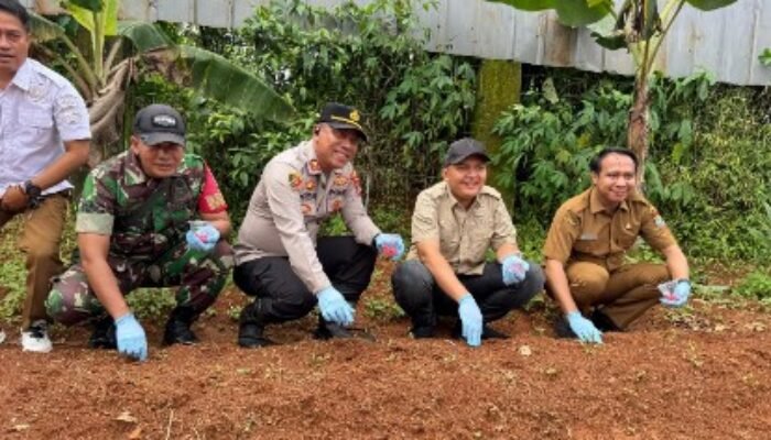 Polsek Tigaraksa Laksanakan Program Ketahanan Pangan Penanaman Jagung Hibrida 1 Desa 2 Hektar